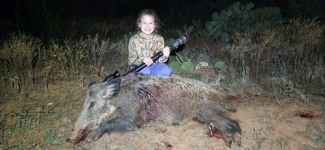 Terms and Conditions